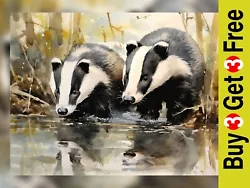 Buy Tranquil Scene: Two Badgers Drinking From A Stream - Watercolor Print 5  X 7  • 4.99£