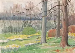Buy TREES IN SPRING LANDSCAPE Watercolour Painting 1953 • 40£
