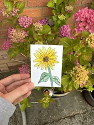 Buy Original Hand Painted Watercolour Sunflower ACEO 2.5x3.5 • 2.50£