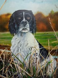 Buy Black And White  Spaniel Oil On Board By Norman Rossiter • 24.99£