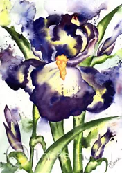 Buy IRIS SPLASH FLOWER Art Print Of Original Painting Artwork   • 13.99£