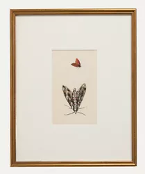 Buy 20th Century Watercolour - Butterflies II • 116£