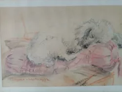 Buy Superb Original Painting Pastel Of A Poodle Lucy Dawson Style • 95£
