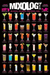 Buy (465) Cocktail Mixes Mixology Drinks Ingredients Maxi Poster New Wall Hanging • 7.25£