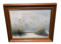 Buy T. STORY Beach Scene Bird Seascape  SIGNED ORIGINAL Oil Painting Canvas FRAMED  • 24.99£
