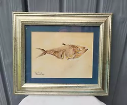 Buy Unusual Original Framed Fish Fossil Watercolour Painting By J. Beadsley  • 9.99£