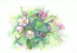 Buy Original Picture Painting Watercolor  Cherry Blossoms  Watercolour Painting 26x18 Cm • 53.21£