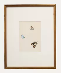 Buy 20th Century Watercolour - Butterflies I • 116£