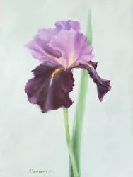 Buy ORIGINAL Oil Painting Of A Bearded Iris Flower I'm Back Signed Ready To Ship • 176.13£