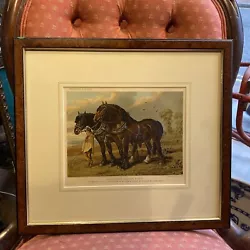 Buy Vintage Cassells Horse Clydesdale Stallion Print Framed Antique Country • 25£