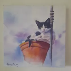 Buy Original Painting On Canvas Of A Black And White Cat Signed Jenny Schrag • 25£