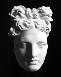 Buy Apollo Belvedere Plaster Cast, Roman Wall Sculpture • 101£