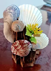 Buy Driftwood With Seashells Art Sculpture Original • 2.86£