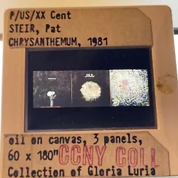 Buy Pat Steir “Chrysanthemum   Modern American Art 35mm Art Slide • 9.75£