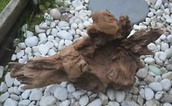 Buy Natural Driftwood Sculpture Smooth Rustic Garden Display Piece • 8£