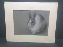 Buy Early 20th Century  Pastel And Chalk  Rabbit Sketch Indistinctly Signed • 30£