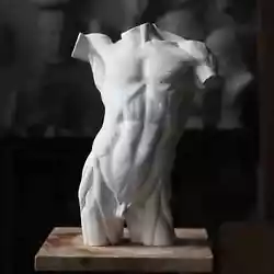 Buy Écorché Male Torso, Plaster Figure Sculpture, Anatomical Drawing Cast • 275£