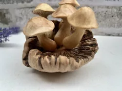 Buy Wooden Mushroom Toadstool Sculpture Teak Root Hand Carved Driftwood Ornament • 17.31£