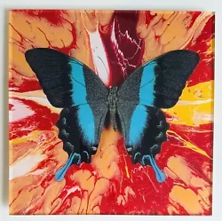 Buy Butterfly Spin Paint Acrylic Picture 30cm X 30cm Style- Damien Hirst KAWS Banksy • 29.99£