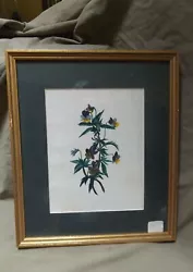 Buy Antique 19th C Watercolor Original Art Violets Pansies Framed Theorum Style • 41.65£