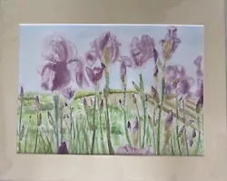 Buy Irises Original Watercolour Painting Irisis A3 Size In Mount  • 9.99£