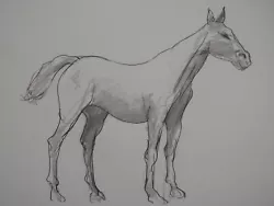 Buy Pencil Drawing Of A Horse Sculpture Standing Halted After Edgar Degas • 29.99£