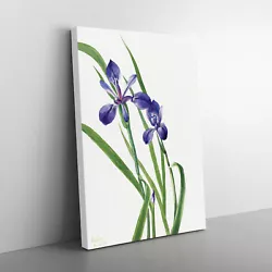 Buy Iris By Mary Vaux Walcott Canvas Wall Art Print Framed Picture Decor Living Room • 24.95£