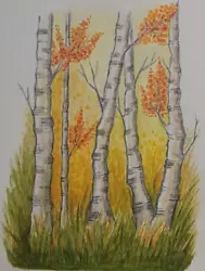 Buy Original Watercolour Autumn Birch Trees Landscape Fall Hand Painted Art  Forest • 7.99£