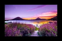 Buy Lilac Heather Lakeside Sunset Landscape Painting 11x14 Inches With Frame • 25£