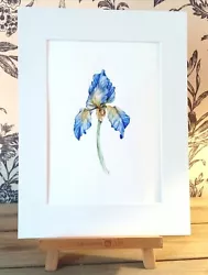 Buy Blue And Yellow Iris, Original Painting By Norma Robinson • 60£