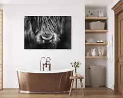 Buy Highland Cow Black And White Painting Large A2 Canvas Velvet FREE DELIVERY • 29.99£