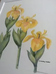 Buy Original Signed Kimberley Walker I.E.A  Iris Watercolour • 35£
