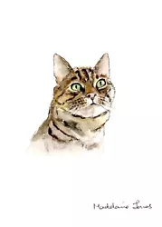 Buy Tabby Cat  5.5  X 7.5  Original Watercolour Painting • 9£
