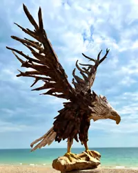 Buy Driftwood Wooden Bald Eagle Life Size Garden Sculpture • 675£