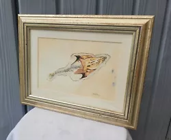 Buy Unusual Original Framed Cocodus Fish Fossil Watercolour Painting By J. Beadsley  • 9.99£