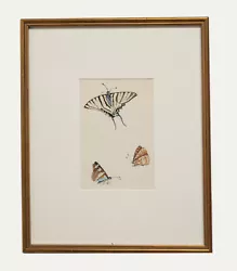 Buy 20th Century Watercolour - Butterflies IV • 116£