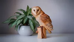 Buy Barn Owl Wooden Gift Owls Wooden Owl Wood Carving Wood Owl Wood Sculpture Owl • 388.30£
