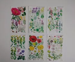 Buy Vintage Botanical Prints Bookplate Illustration Art  Set Of 6 • 10£