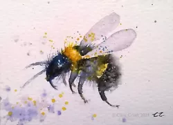 Buy BEE Wildlife Insect Art ORIGINAL Signed ACEO Watercolour Painting By Clare Crush • 15.99£