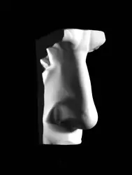 Buy Plaster Cast Of Michelangelo's David's Nose, Handmade Wall Sculpture, • 56£