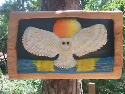 Buy Chainsaw Carving Owl 14  Wall Hanger Wood Carving Barn Owl 2D Art Cypress  • 102.11£