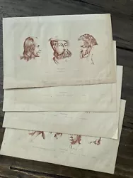 Buy Carl Linnaeus, 5 Sheet Head Studies, Rubella Copper Circa 1758  • 8.44£
