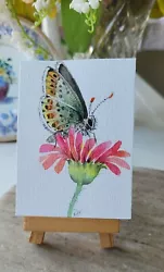Buy ACEO ORIGINAL Watercolour Painting,  Butterfly, Flower , Garden , Mini Artwork  • 9.99£