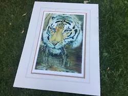 Buy Xl Original Watercolour Painting Signed Thirst For Life Tiger Picture Ltd Edt • 19.99£