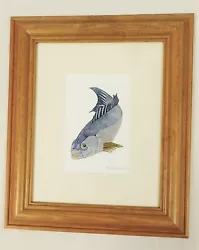 Buy Original Framed Painting Of Fish Signed Annette Rumbelow Acrylic Mix Media Blue • 29.99£