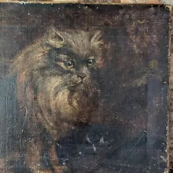 Buy Naive 19th Oil On Canvas Antique Painting Cat • 275£